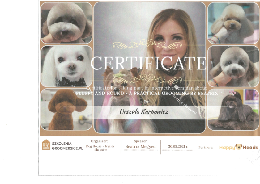 Fluffy and around 2021